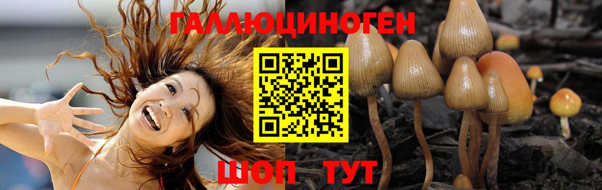 Коркино  Псилоцибиновые грибы ЛСД  Вход с VPN 